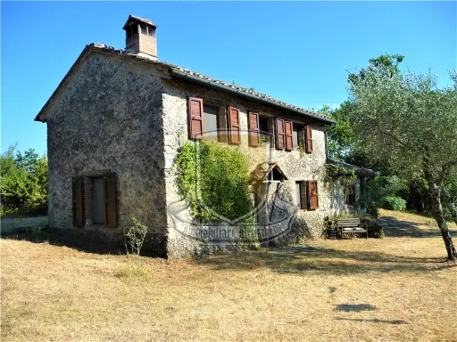 Rustico/Casale in vendita a Chiusdino - foto 7