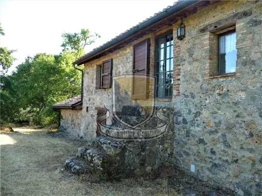 Rustico/Casale in vendita a Chiusdino - foto 9