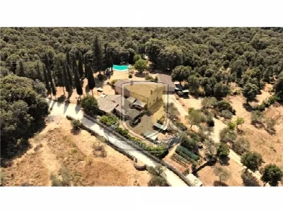 Rustico/Casale in vendita a Monteriggioni - foto 4