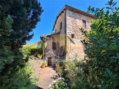 Rustico/Casale in vendita a Sovicille - foto 6