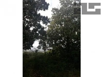 Rustico/Casale in vendita a Quarrata - foto 6