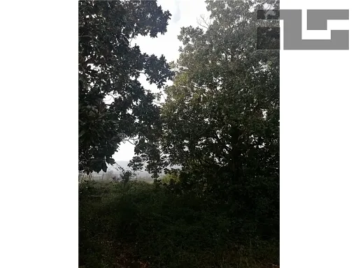 Rustico/Casale in vendita a Quarrata - foto 6