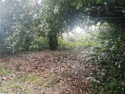 Rustico/Casale in vendita a Quarrata - foto 7