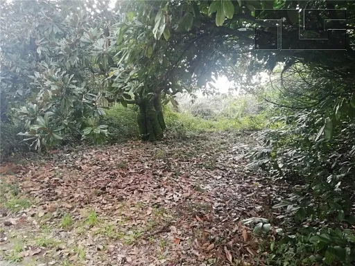 Rustico/Casale in vendita a Quarrata - foto 7