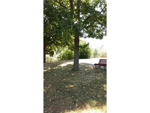 Villa in vendita a Empoli - foto 5