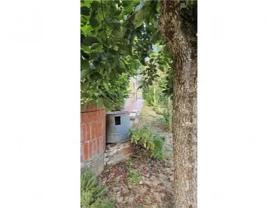 Villa in vendita a Castelfiorentino - foto 5