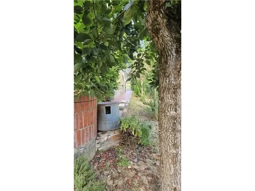 Villa in vendita a Castelfiorentino - foto 5