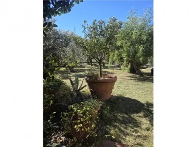 Villa in vendita a Vinci - foto 5