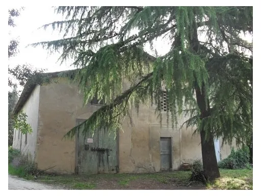 Rustico/Casale in vendita a Empoli - foto 2