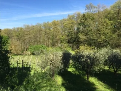 Rustico/Casale in vendita a Empoli - foto 3