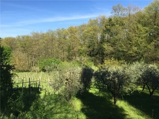Rustico/Casale in vendita a Empoli - foto 3