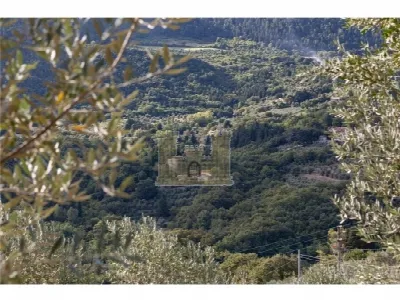 Rustico/Casale in vendita a Sesto Fiorenti... - foto 2