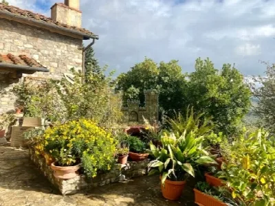 Rustico/Casale in vendita a Sesto Fiorenti... - foto 3