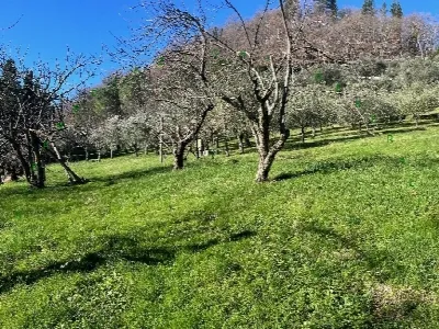 Appartamento in vendita a Vicchio - foto 5