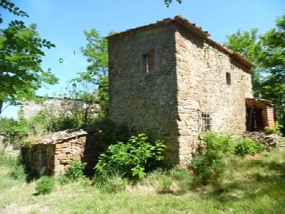 Rustico/Casale in vendita a Vicchio - foto 1