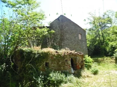 Rustico/Casale in vendita a Vicchio - foto 2