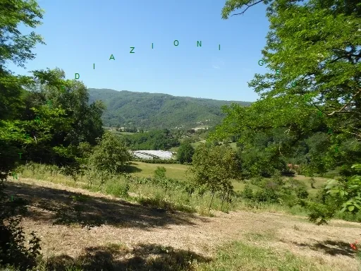 Rustico/Casale in vendita a Vicchio - foto 3