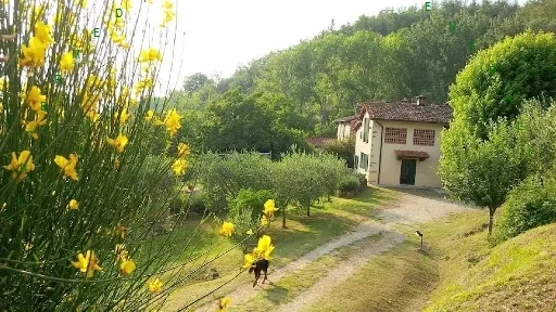 Rustico/Casale in vendita a Vicchio - foto 3