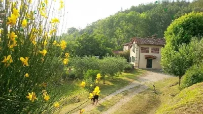 Rustico/Casale in vendita a Vicchio - foto 3