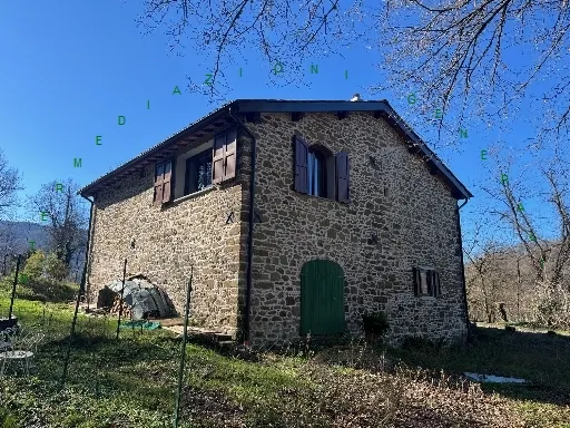 Rustico/Casale in vendita a Vicchio - foto 1