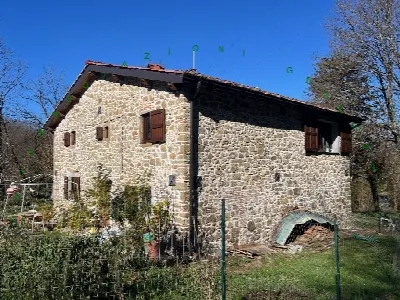 Rustico/Casale in vendita a Vicchio - foto 4