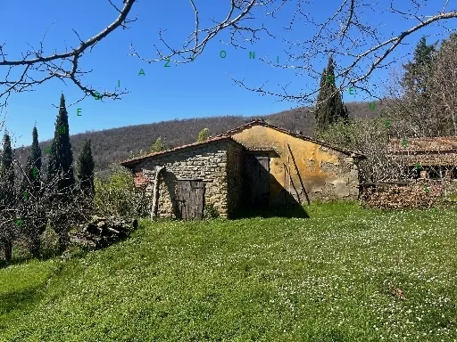 Rustico/Casale in vendita a Vicchio - foto 4