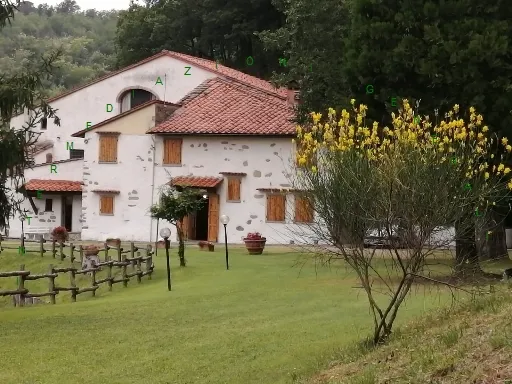 Rustico/Casale in vendita a Vicchio - foto 3