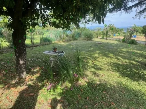 Rustico/Casale in vendita a Barberino di Mugello - foto 1
