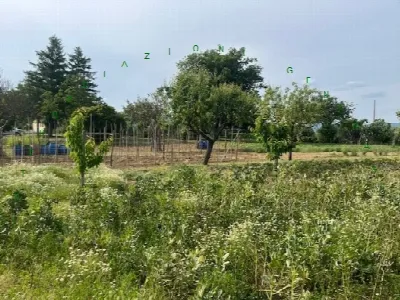 Rustico/Casale in vendita a Barberino di M... - foto 2