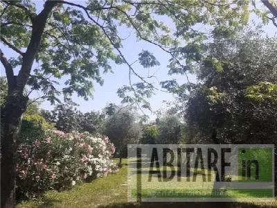 Rustico/Casale in vendita a Montespertoli - foto 3