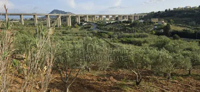 Rustico/Casale in vendita a Alcamo - foto 5