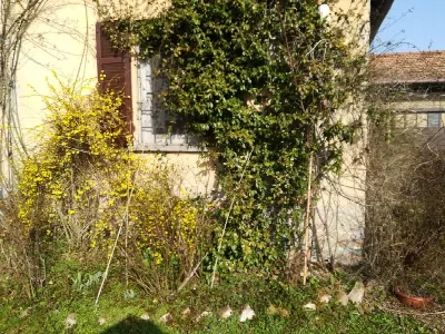 Rustico/Casale in vendita a Casei Gerola - foto 7