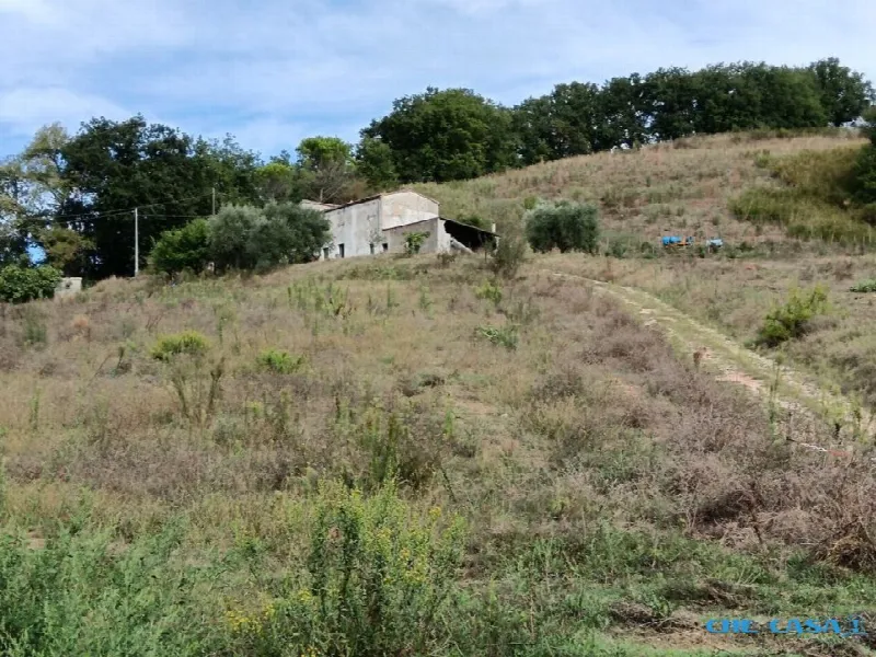 Rustico/Casale in vendita a Tavoleto - foto 7