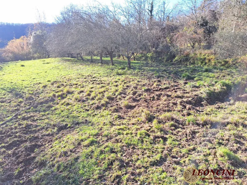 Rustico/Casale in vendita a Mulazzo - foto 8