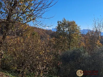 Rustico/Casale in vendita a Bagnone - foto 8