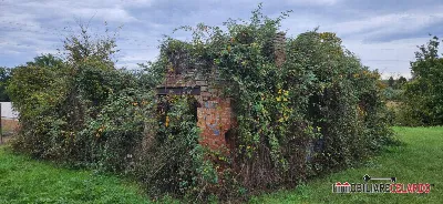 Rustico/Casale in vendita a Gambassi Terme - foto 4