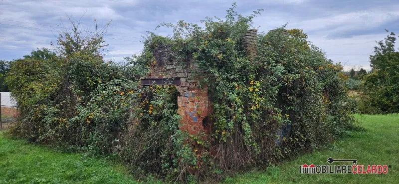 Rustico/Casale in vendita a Gambassi Terme - foto 4