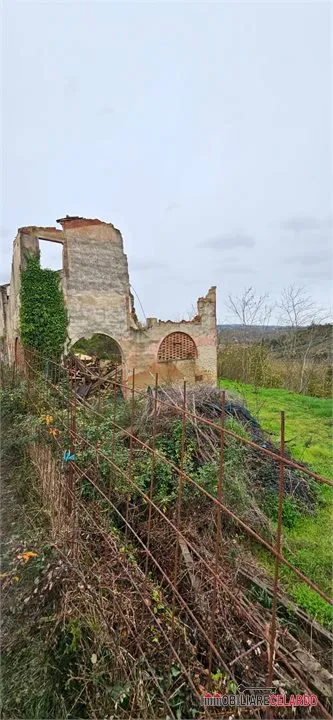 Rustico/Casale in vendita a Certaldo - foto 4