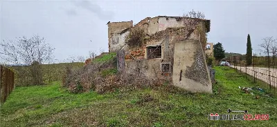 Rustico/Casale in vendita a Certaldo - foto 6