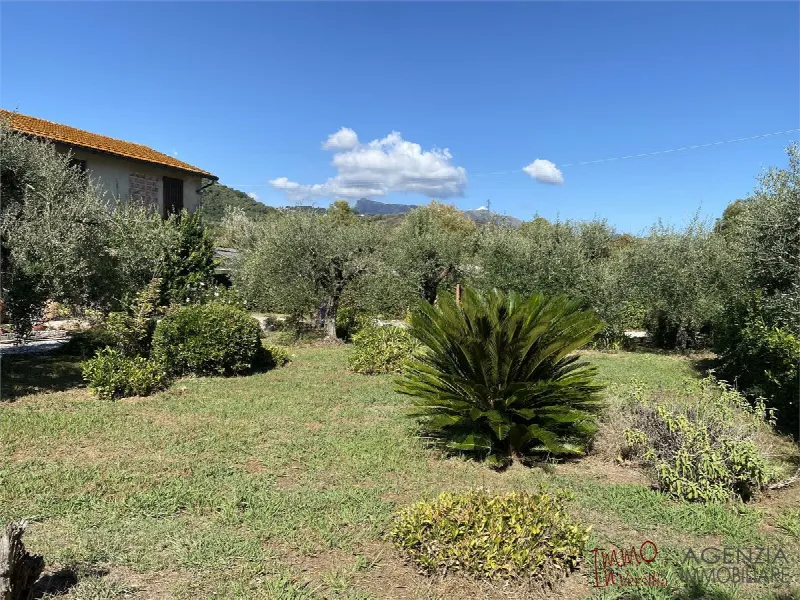 Rustico/Casale in vendita a Massarosa - foto 5