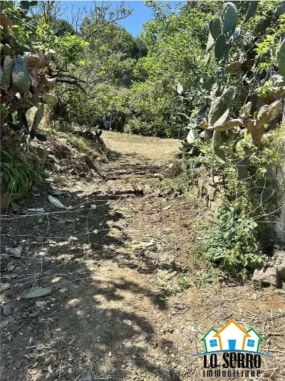 Rustico/Casale in vendita a Alcamo - foto 3