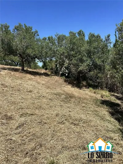 Rustico/Casale in vendita a Alcamo - foto 5