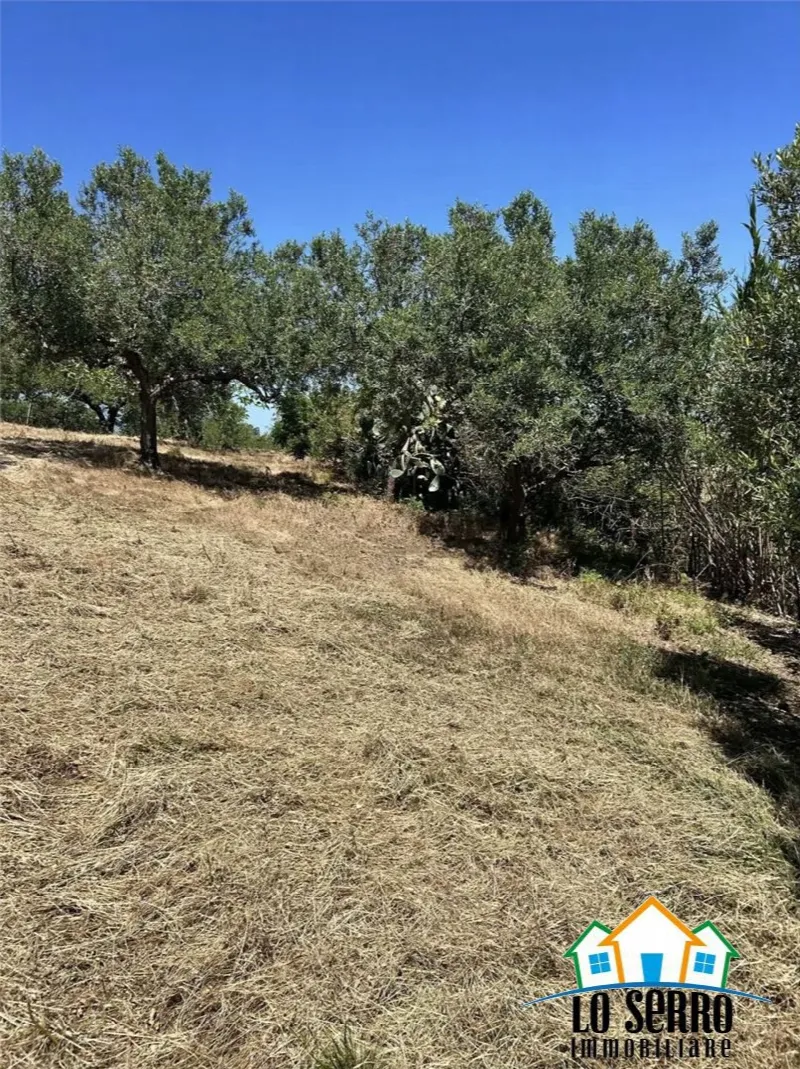 Rustico/Casale in vendita a Alcamo - foto 5