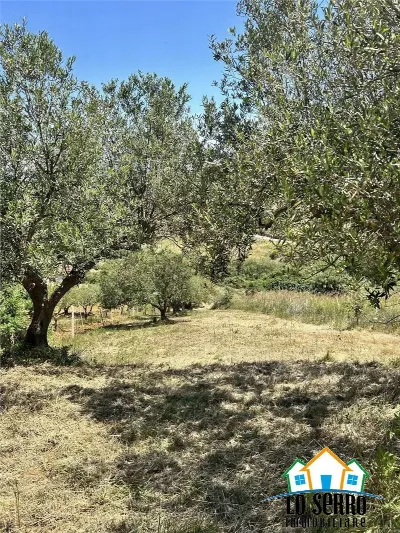 Rustico/Casale in vendita a Alcamo - foto 6