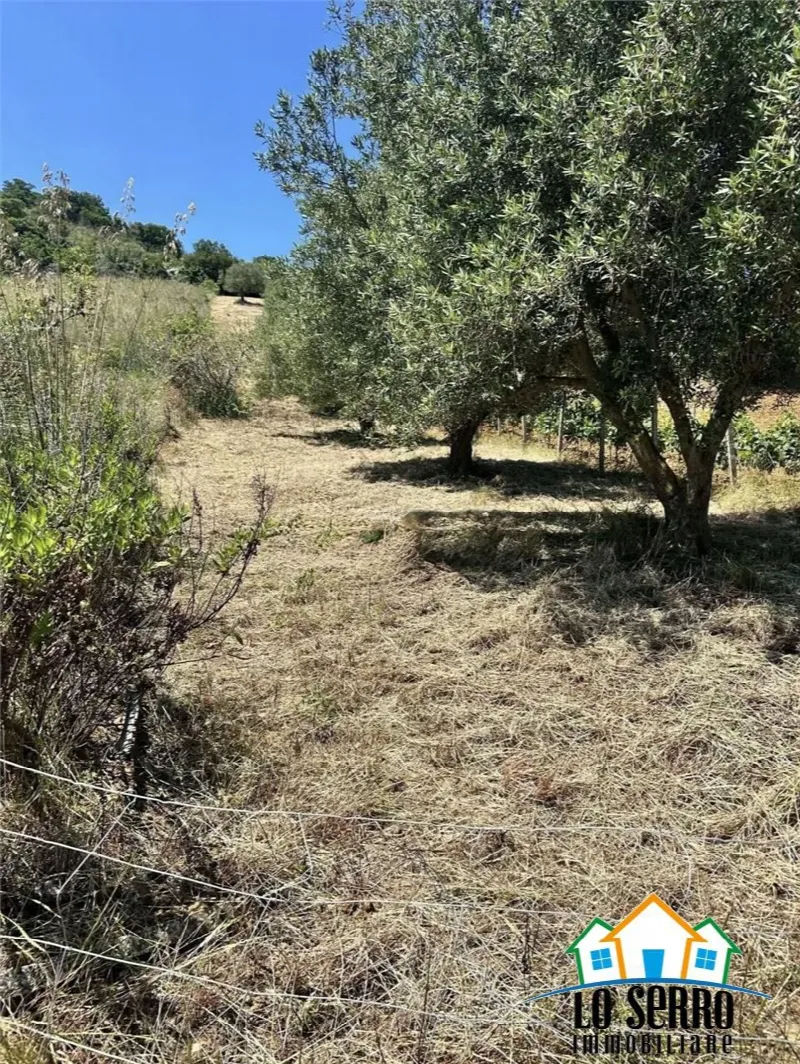 Rustico/Casale in vendita a Alcamo - foto 7