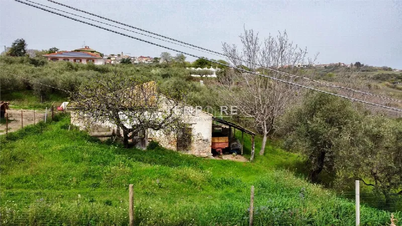 Rustico/Casale in vendita a Mozzagrogna - foto 6