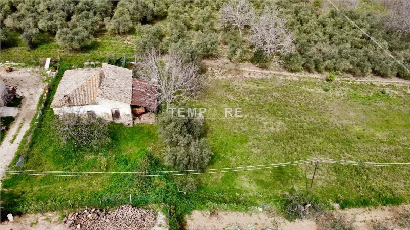 Rustico/Casale in vendita a Mozzagrogna - foto 7