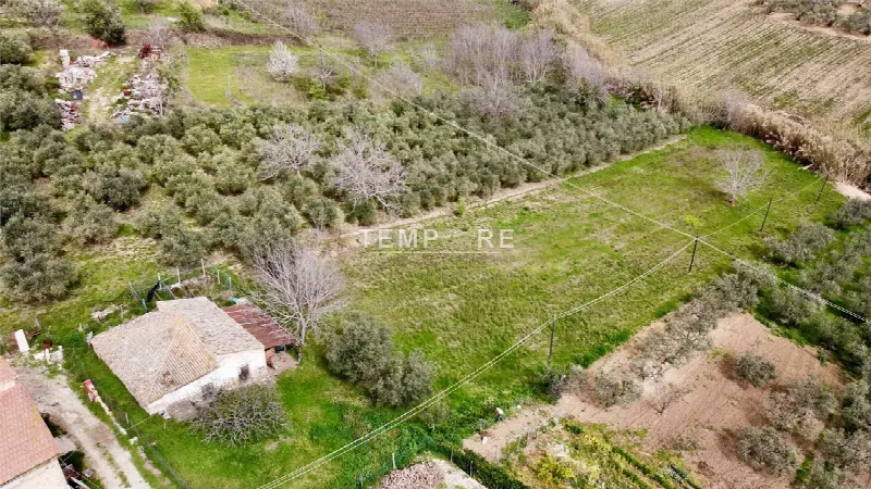 Rustico/Casale in vendita a Mozzagrogna - foto 9