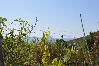Rustico/Casale in vendita a Ponza - foto 2