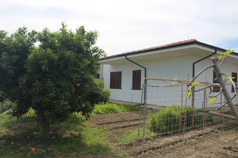 Rustico/Casale in vendita a Rocca Imperiale - foto 2
